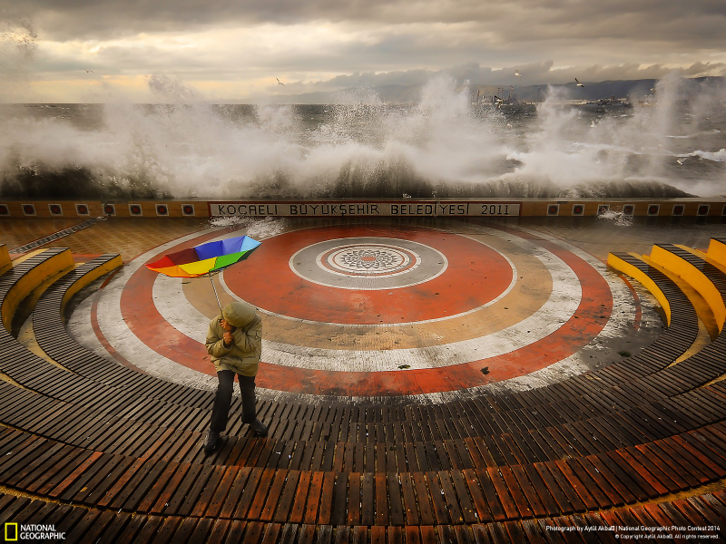 Illustration for article titled Las impresionantes fotos ganadoras del concurso de National Geographic